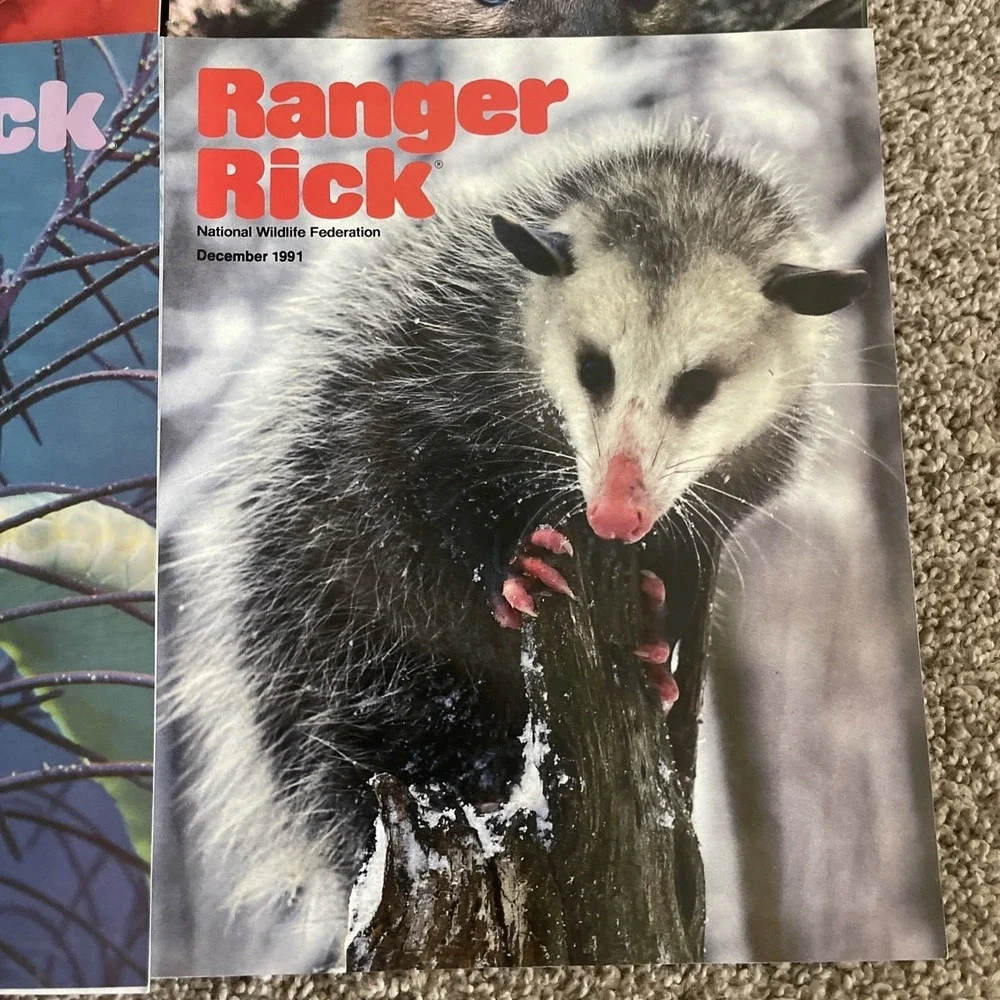 Ranger Rick's Nature Magazine 1991 National Wildlife Kids Vtg Lot Of 12 Complete